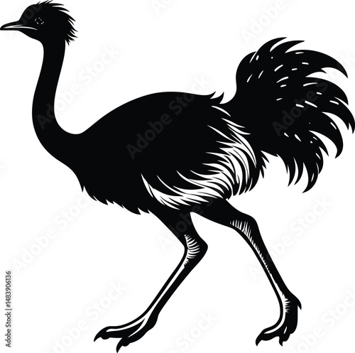 Ostrich Silhouette Running Fast