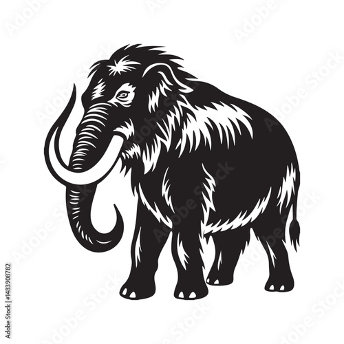 american mammoth jackstock vector