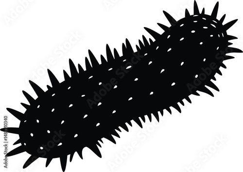 Sea Cucumber Silhouette Lying Still