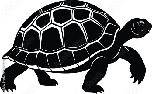 Tortoise Silhouette Walking Slowly