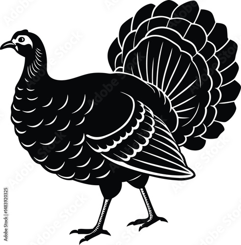 Turkey Silhouette Strutting