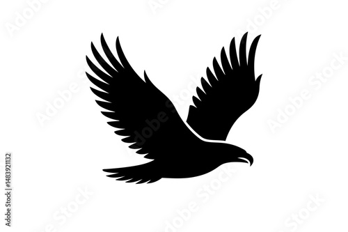 Eagle soaring vector illustration black silhouette