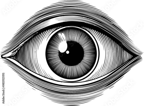 Intricate black and white line art of a human eye, surreal illustration. Vector illustration in sketch style