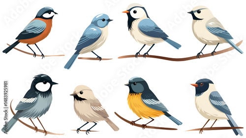 Wallpaper Mural Colorful Collection of Cartoon Birds for Child Illustrations and Wildlife Storybooks Torontodigital.ca