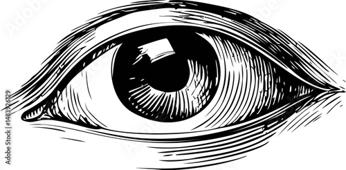 Detailed black and white sketch of a human eye with intricate linework. Vector illustration
