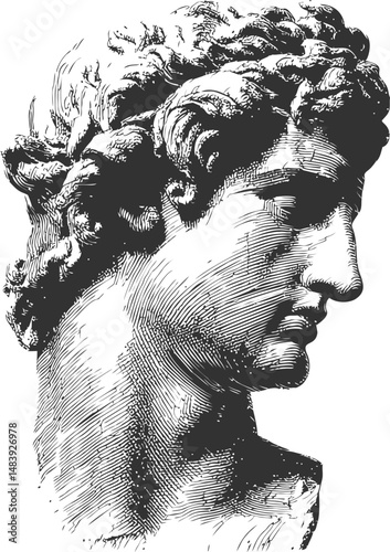 Classical sculpture of a male bust in elegant black and white line art. Vector illustration in sketch style