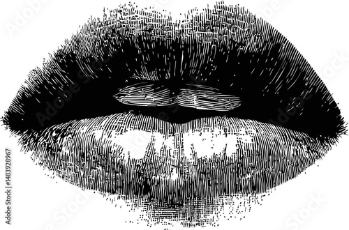 Detailed black and white sketch of lips resembling an engraving style. Vector illustration