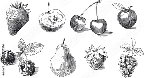 Detailed black and white pen drawings of various fruits, including cherries. Vector illustration in sketch style