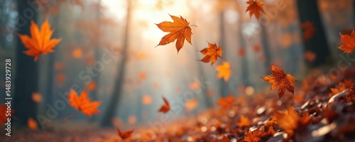 Falling autumn leaves rustle in the wind. Nature scenic view in sunlight, blurred forest background, golden hour. Seasonal photo for postcards, wallpapers, fall sales.