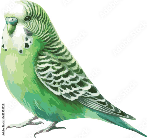 A watercolor vector illustration of an adorable green budgie