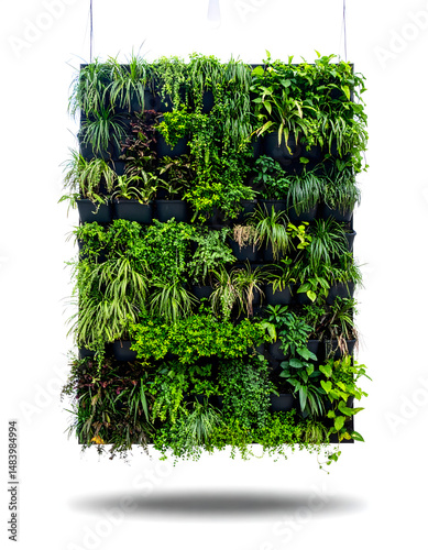 Vertical Garden: Lush Greenery Thrives Indoors