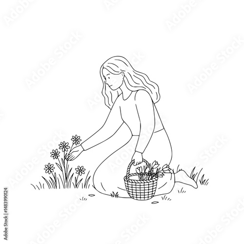 Young white woman picking flowers while kneeling in a field with basket Simple Vector Outline in minimalistic black and white design