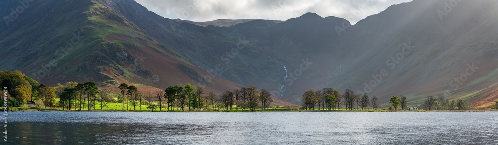 Buttermere pines at Buttermere lake. United Kingdom