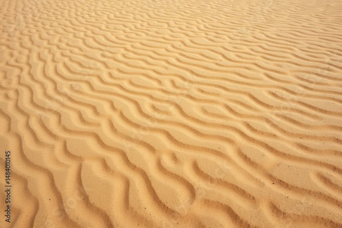 Sandy desert landscape with rippled patterns in golden tones  