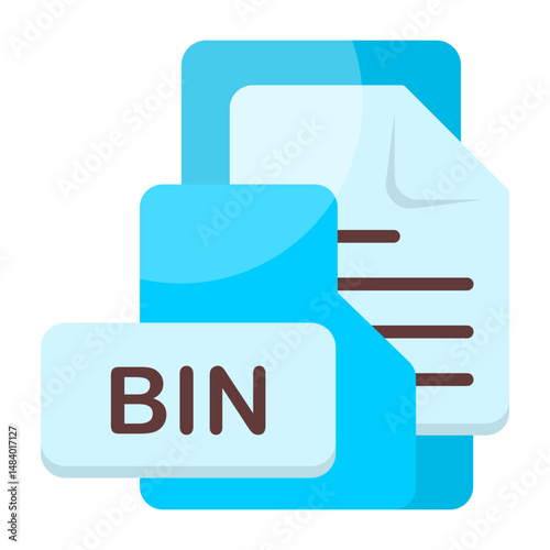 BIN Format Icon