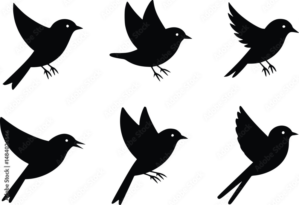 Fototapeta premium Graceful Flight Dynamic Feathered Friends Bird Wildlife Silhouette Vector Glyph Icons