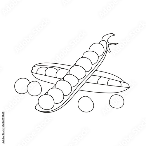 Illustration edamame line art simple with blank background