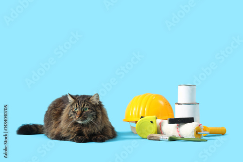 Cute cat with builder's too...