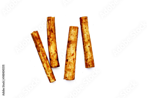 Fresh burdock roots or gobo roots