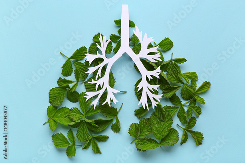 Lungs made of paper and lea...