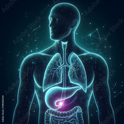Futuristic human pancreas in glowing low polygonal style isolated on dark blue
