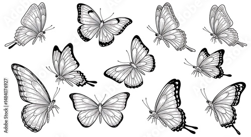 Elegant Ink Butterflies: A Monochrome Flutter