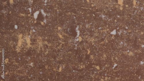 Close-up of soil with mulch and twigs, suitable for ecological visuals, compost content, or nature textures.