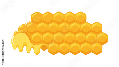 honeycomb isolated 