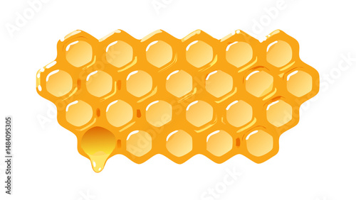 honeycomb isolated 