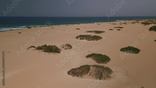 Wallpaper Mural Drone Aerial of Corralejo Dunes and Ocean View on a Bright Sunny Day in Fuerteventura Torontodigital.ca