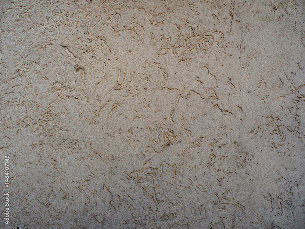 Obraz premium Textured Beige Plaster Wall with Subtle Patterns