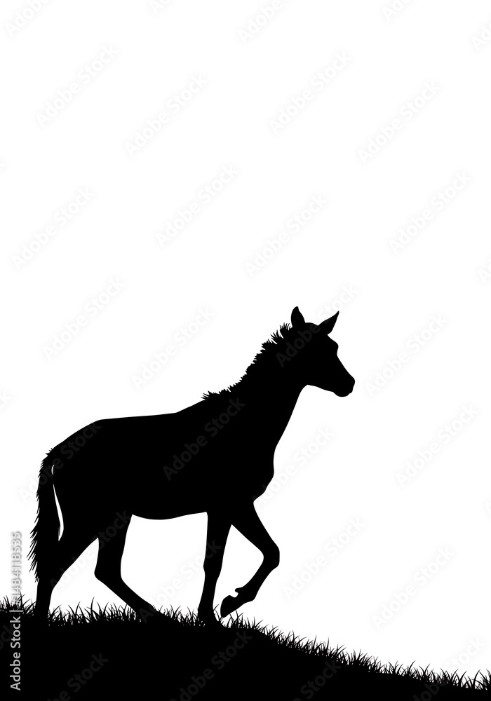 Silhouette of a Zebra: Graceful Movement, Serene Landscape Silhouette of a Zebra: Graceful Movement, Serene Landscape