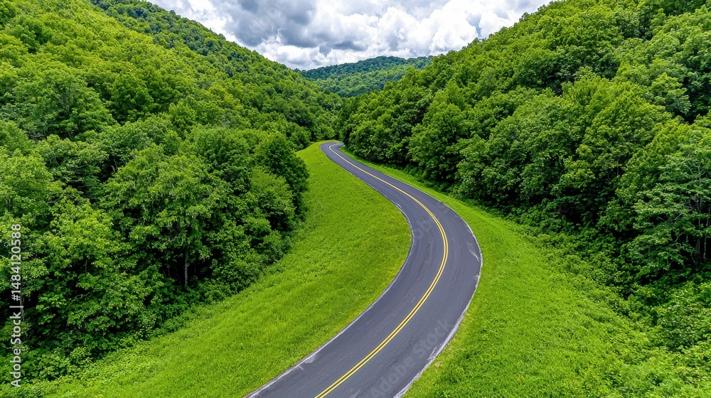 Fototapeta premium Winding Asphalt Road Curves Through Lush Green Forest in Scenic