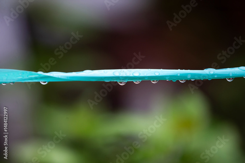 drops of dew on the rope