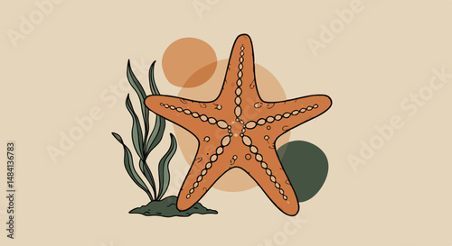 Starfish illustration with seaweed on a beige background  