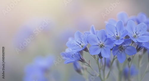 Whispers of Blue: A Floral Dream