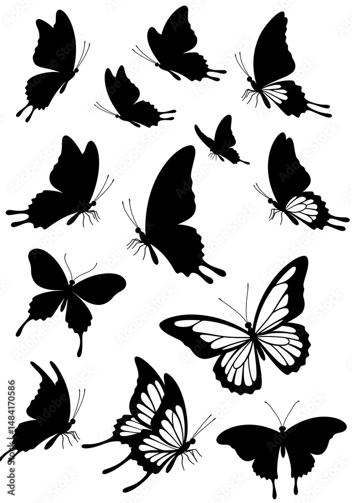 Fototapeta premium Silhouette Butterfly Dance: Elegant Black & White Art