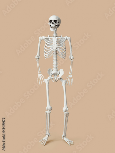 Scary human skeleton on beige background