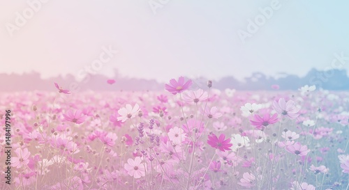 Pastel Cosmos Dream
