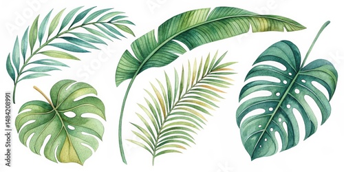 Watercolor Tropical Leaves Composition Palm, Monstera, Banana Leaf Illustration, Botanical Print, Summer Design Tropical Leaves, Botanical Illustration