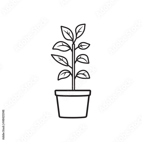 Black outline shows a small plant with many leaves in a cute pot