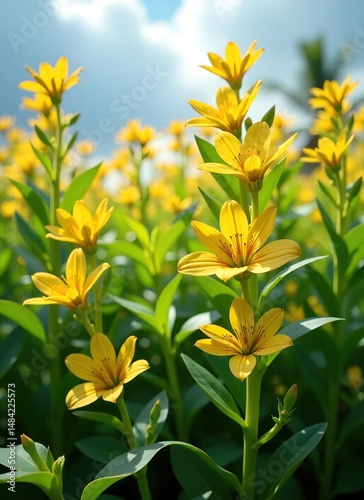 High-resolution bright yellow flowers with lush green foliage and blue sky, sunlight filtering through leaves. Vibrant botanical scene for wallpapers, greeting cards, nature blogs, garden themes, or s