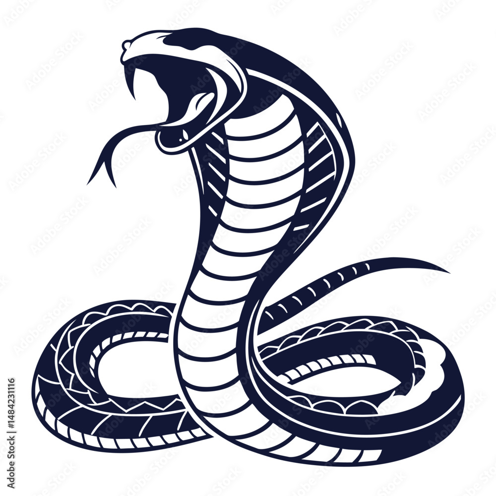 Fototapeta premium a-snake-coiled-and-ready-to-strike--mouth-wide--fa.eps