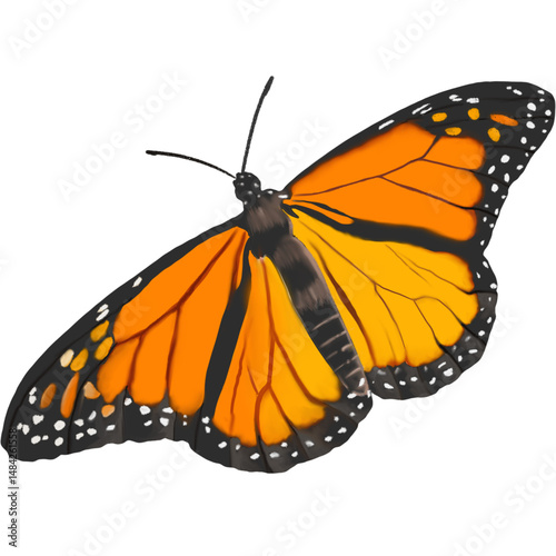 Monarch butterfly isolated on transparent background