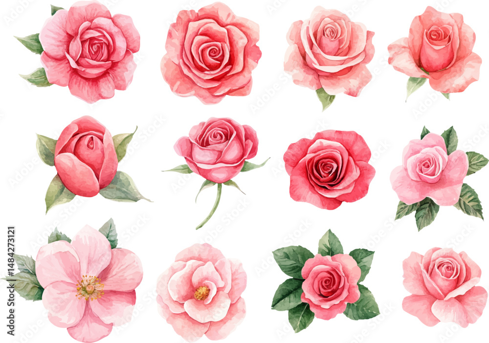 Fototapeta premium set of pink roses