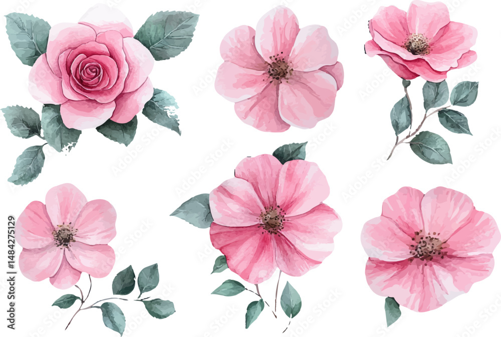 Fototapeta premium set of pink and white flowers