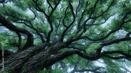 Obraz na płótnie Majestic Ancient Oak Tree Canopy Lush Green Foliage Foggy Forest Nature Scene w salonie