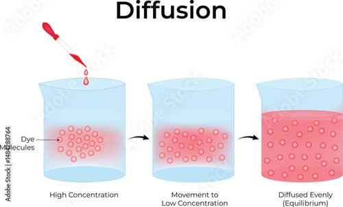 Diffusion Process Dye Molecules Moving Towards Equilibrium