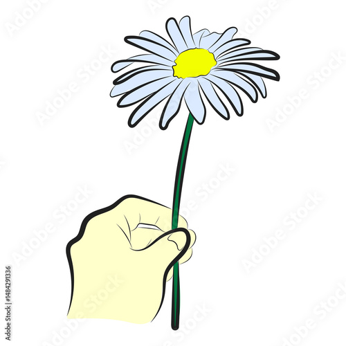 Single Daisy Flower in Hand – Minimalist Vector Illustration