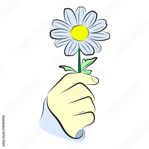 Colorful Hand Holding Daisy Flower Vector Illustration